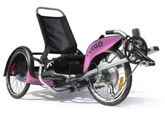 E-swego 350 - batterie 48V