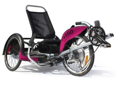Swego electric bike price hot sale
